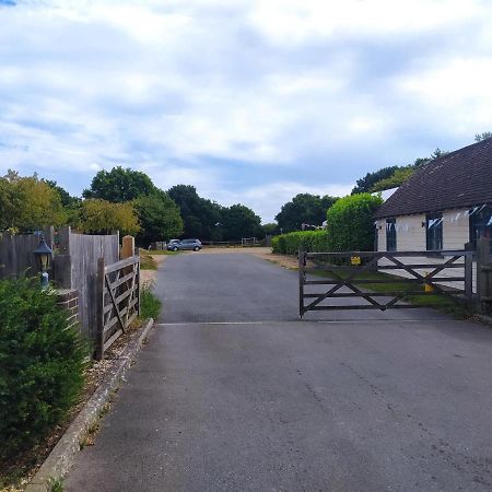 Apartmán Garden Flat At The Infamous Piltdown Man Pub Fletching Exteriér fotografie